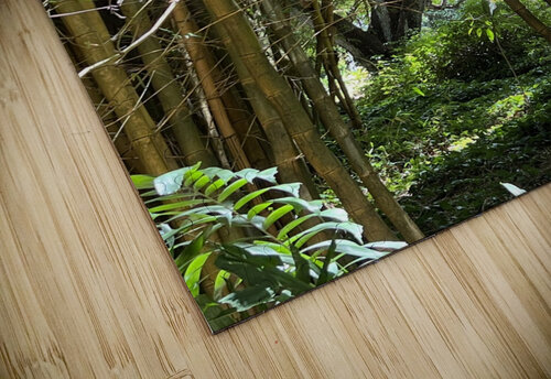 kauai Bamboo B Austin puzzle