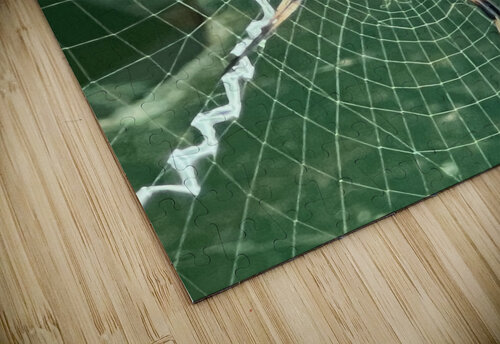 Spider Stretch B Austin puzzle