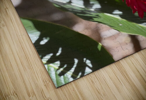Leaning for you B Austin puzzle