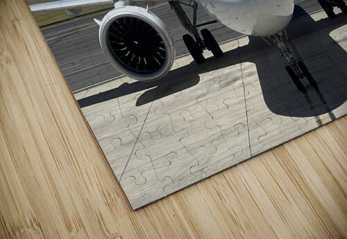 Plane Beauty B Austin puzzle