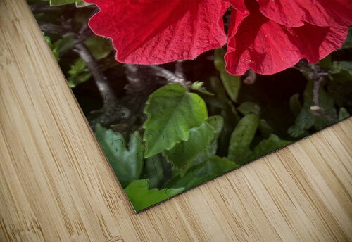 Massive Red B Austin puzzle