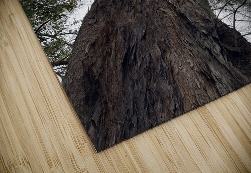 Totally Tree B Austin puzzle