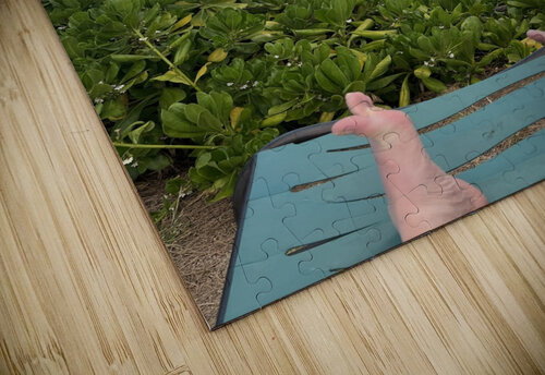 Hanging Ten B Austin puzzle