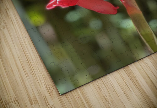 Stunning Red B Austin puzzle