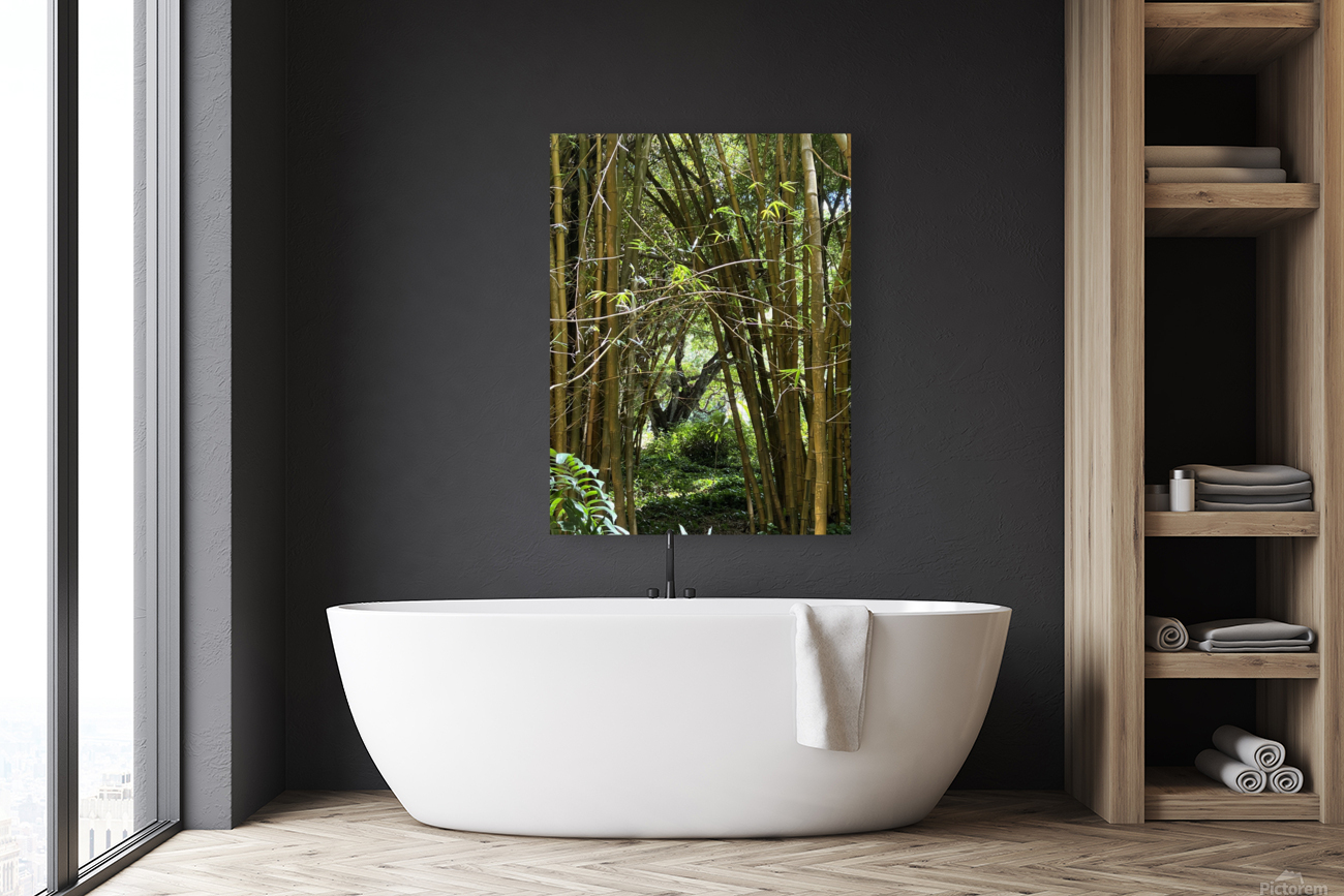 kauai Bamboo Reproduction