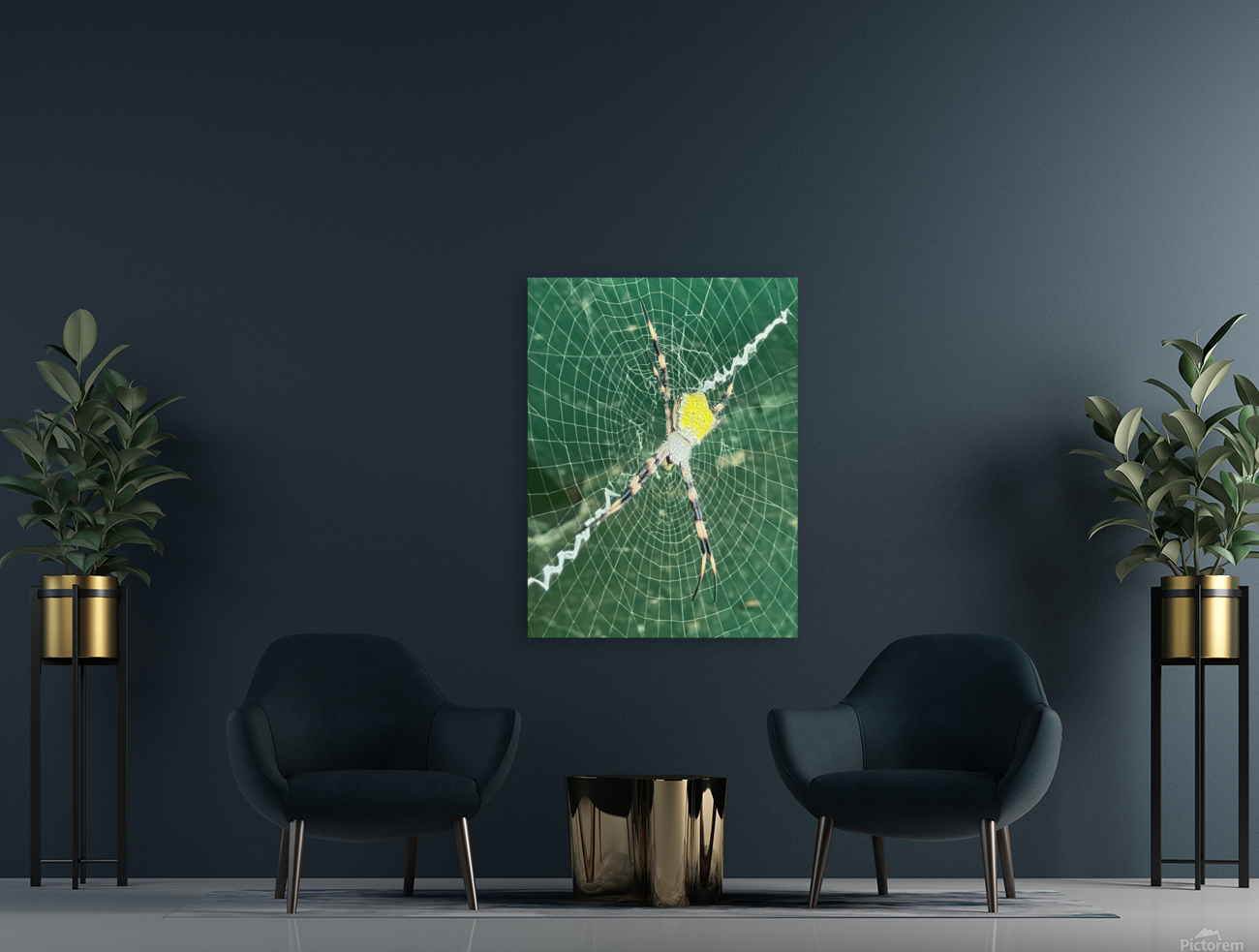 Spider Stretch Reproduction