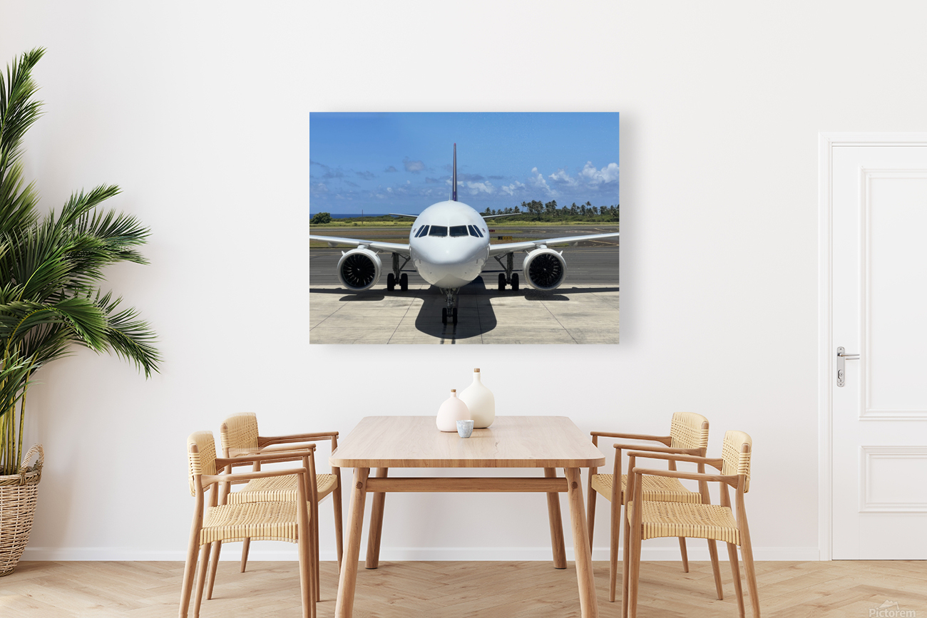 Plane Beauty Reproduction