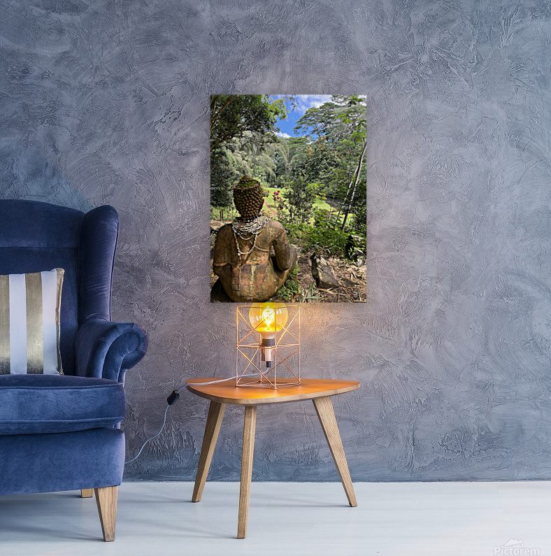 A Watchful Eye Reproduction