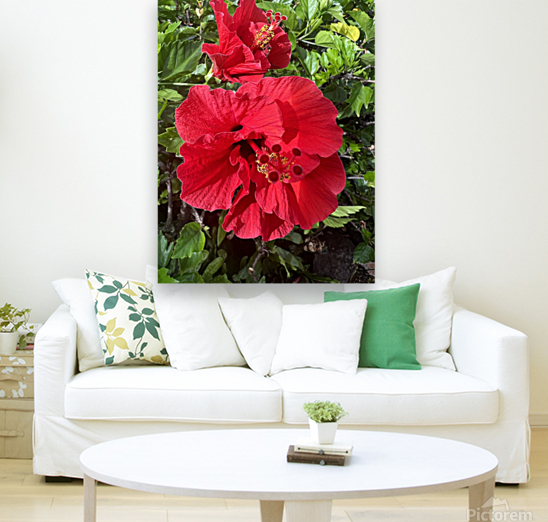 Massive Red Reproduction