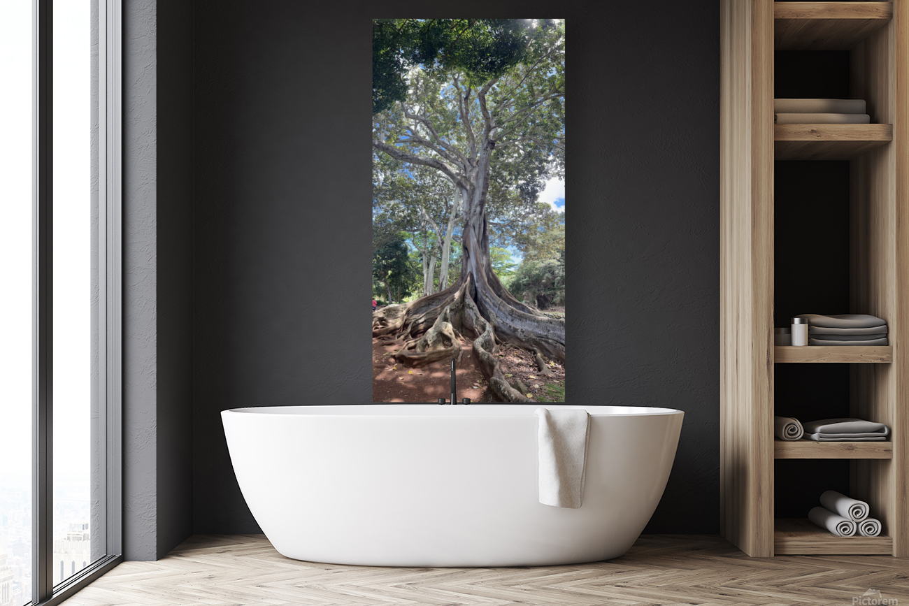Kauai Fig Reproduction