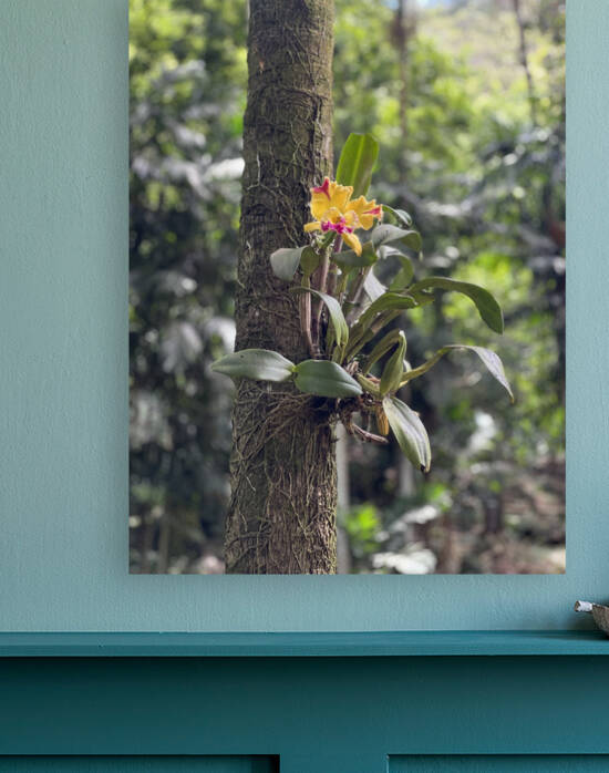 Supported Flower by B Austin