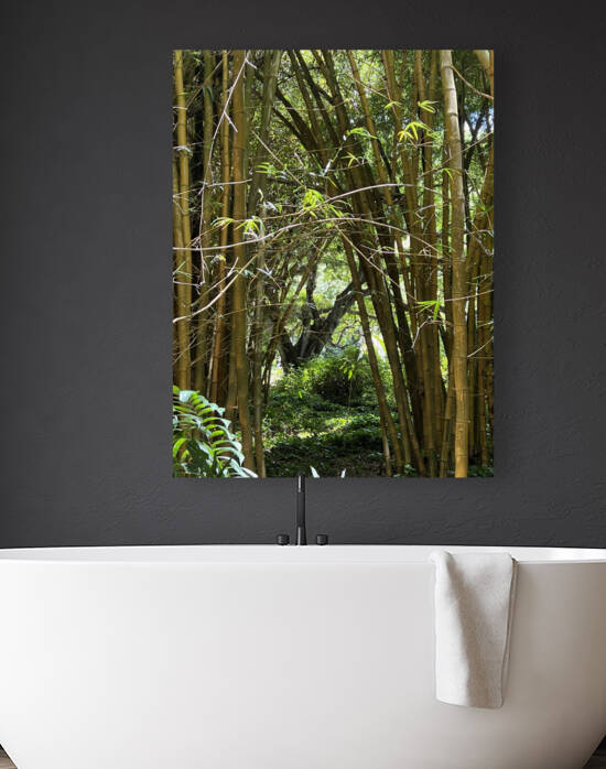 kauai Bamboo Reproduction