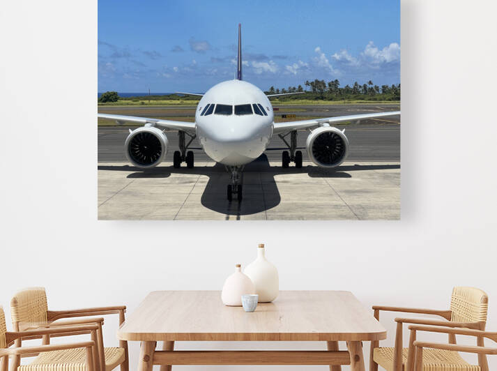 Plane Beauty by B Austin