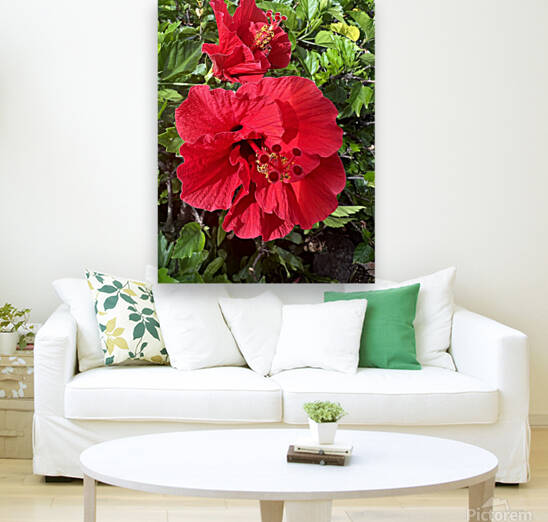 Massive Red by B Austin