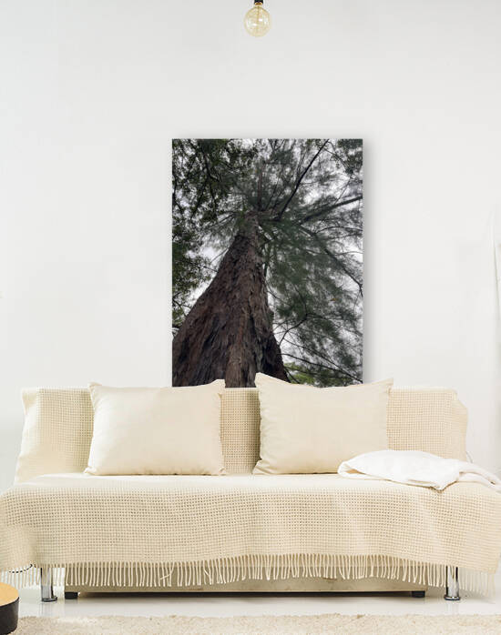 Totally Tree by B Austin
