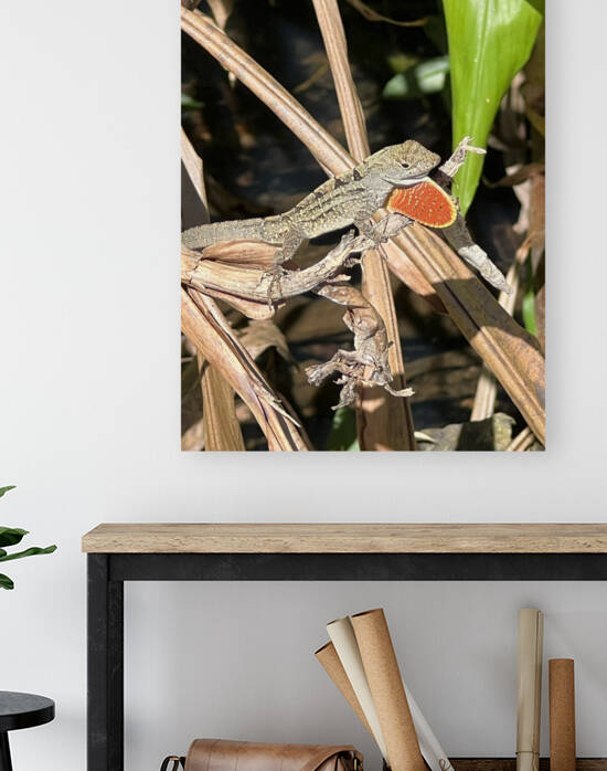 Gecko Challenge by B Austin
