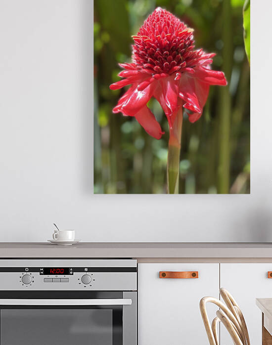Stunning Red by B Austin