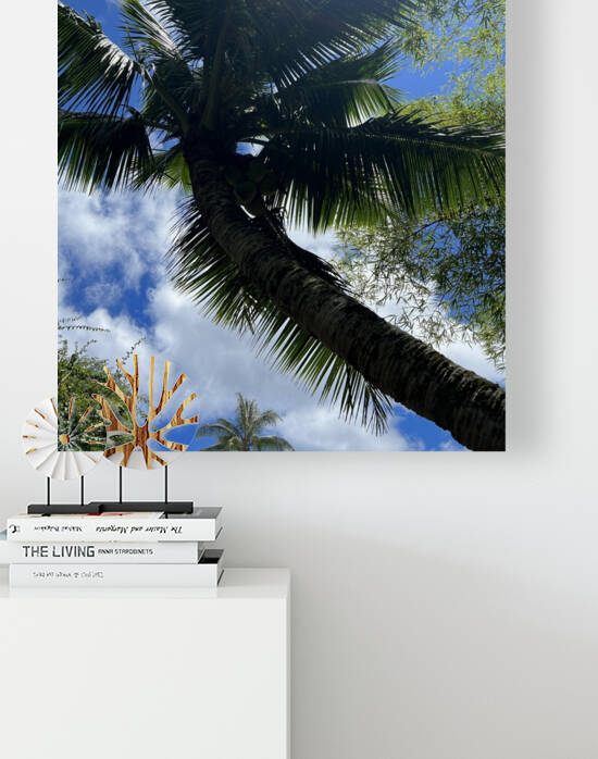 Kauai Palm Reproduction