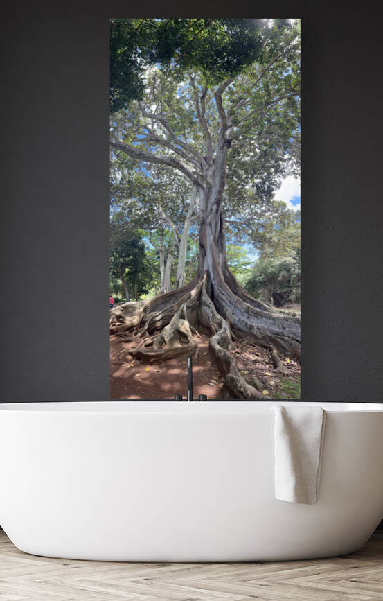 Kauai Fig by B Austin