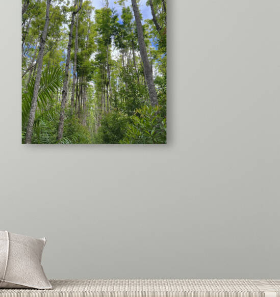 Treescape by B Austin