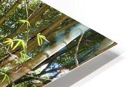kauai Bamboo HD Metal print