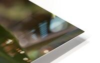Leaning for you HD Metal print