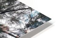 Totally Tree HD Metal print