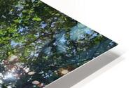 Kauai Fig & Eggs HD Metal print