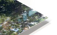 Kauai Fig HD Metal print