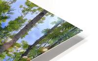 Treescape HD Metal print
