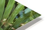 Paradise Alternative HD Metal print