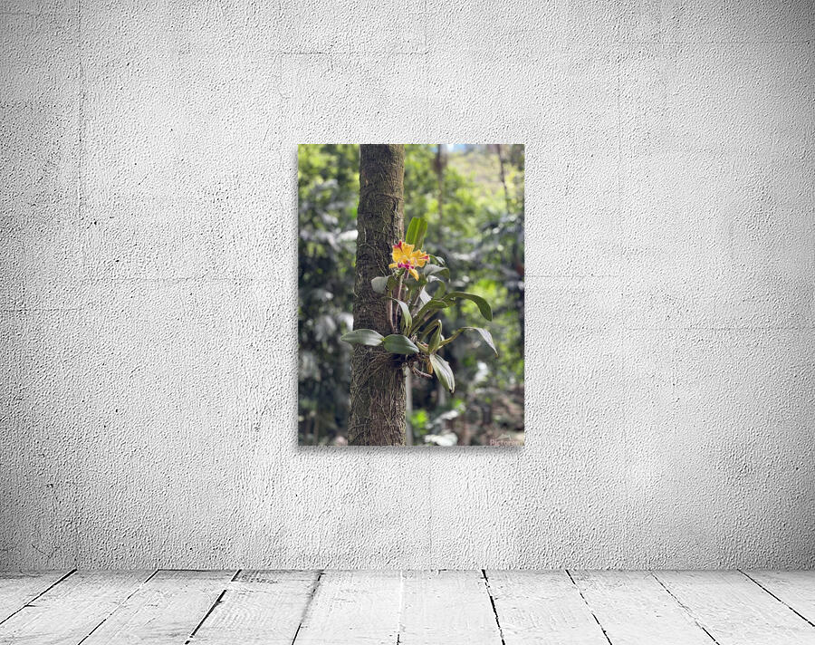 Supported Flower Wall Preview