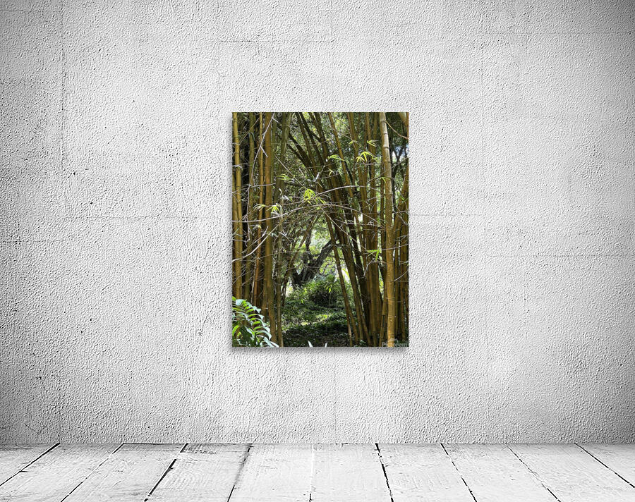 kauai Bamboo Wall Preview