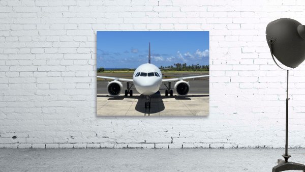 Plane Beauty Wall Preview
