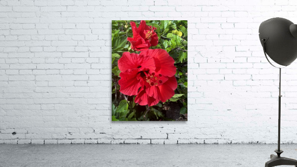 Massive Red Wall Preview