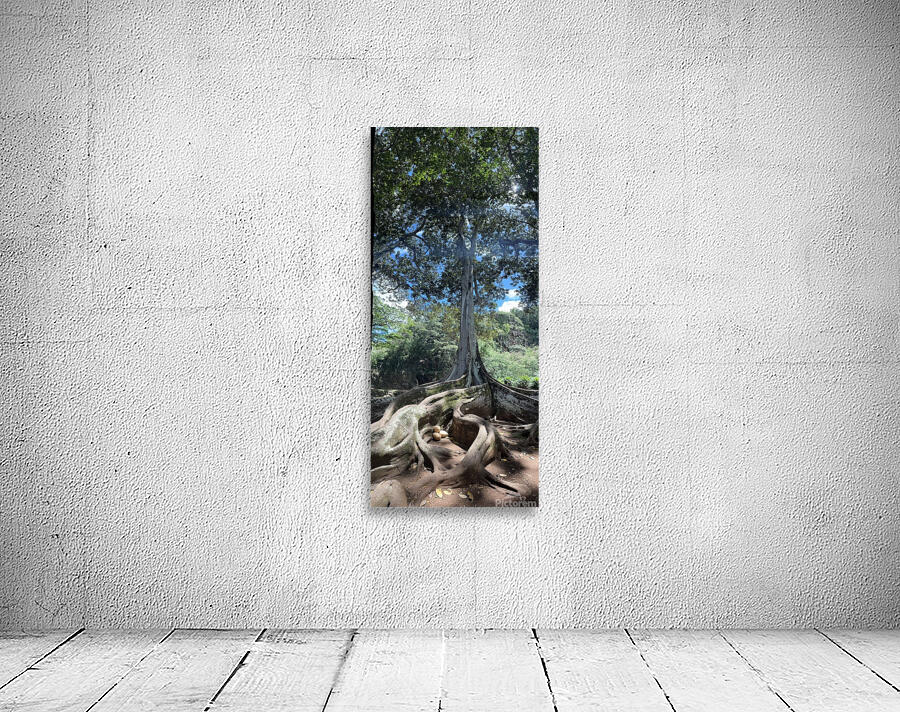 Kauai Fig & Eggs Wall Preview