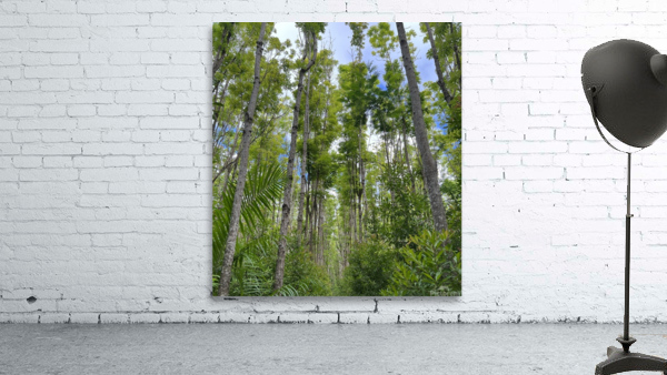 Treescape Wall Preview