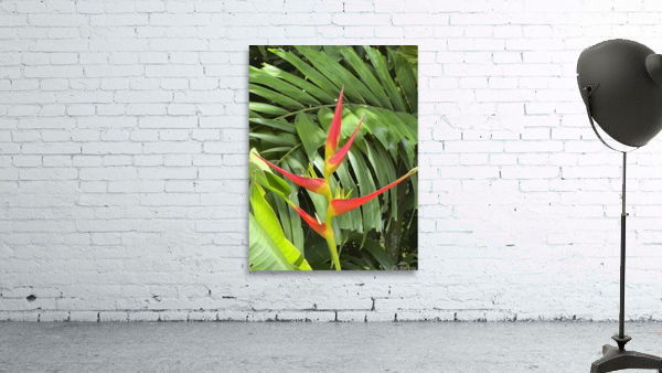 Paradise Alternative Wall Preview