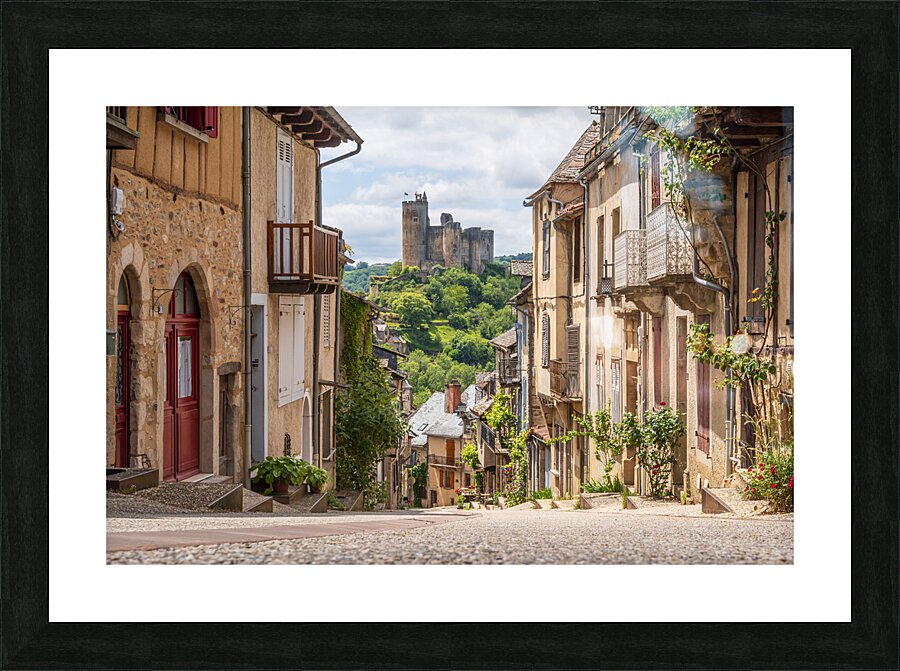 Forteresse distinguee Picture Frame print