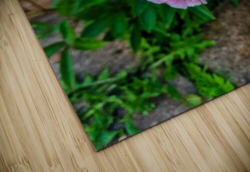 Peony  Alina Lovin puzzle