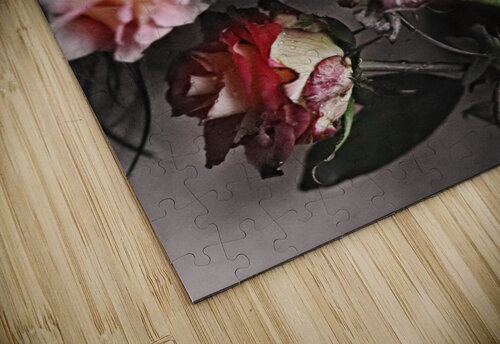 Portrait photography  Alina Lovin puzzle