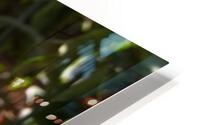 Flower HD Metal print