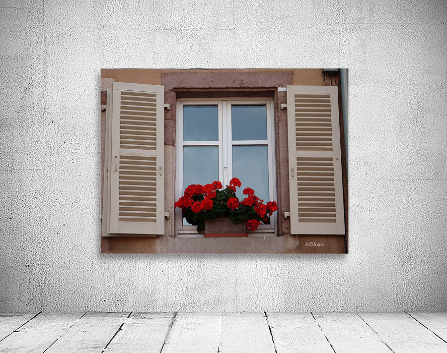 Window red flower Wall Preview
