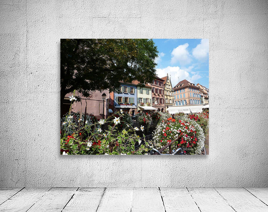 Colmar Flower Wall Preview