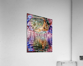 COLLECTION UNDERWATER CAVE - 4 Acrylic Print