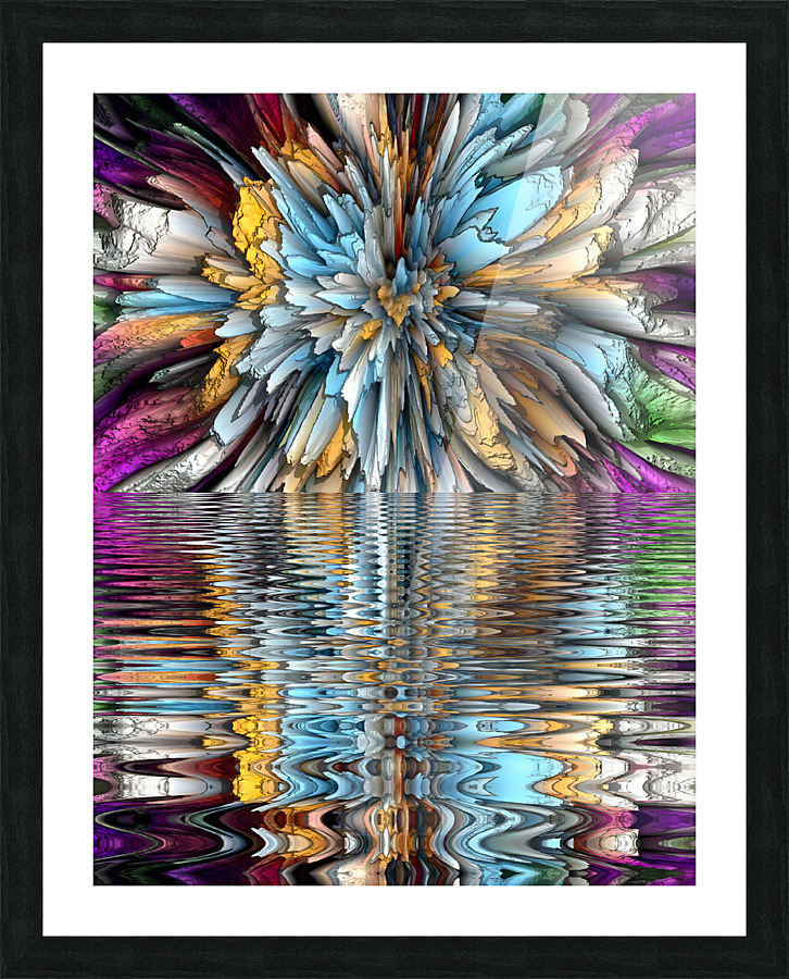 COLLECTION FLORAL EXPLOSION - 2 Picture Frame print