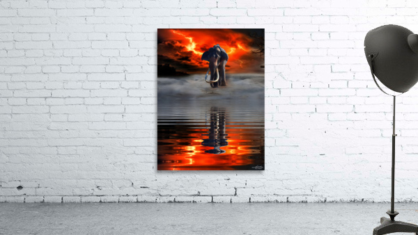 COLLECTION ELEPHANT - 1 Wall Preview