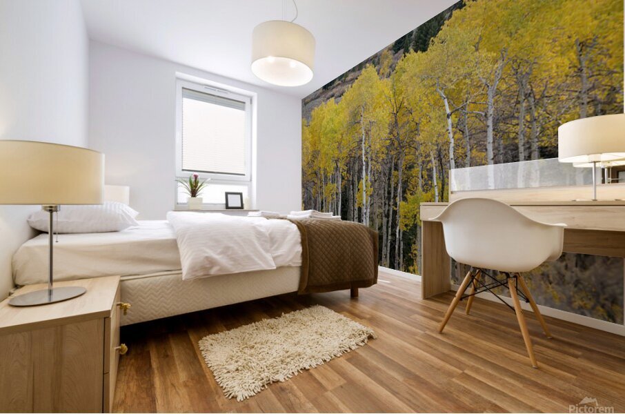 Grand Tetons 3 Mural print