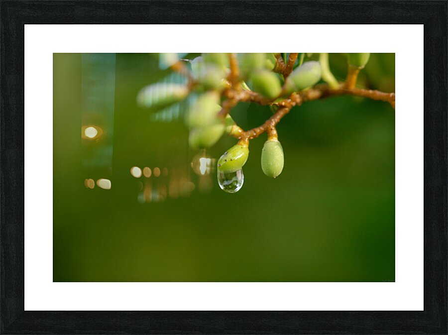 The Drop Picture Frame print