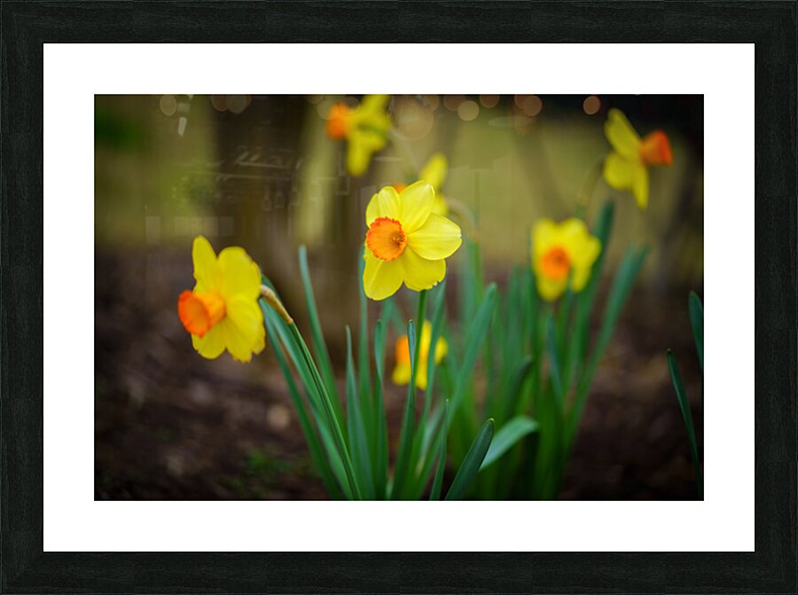 Flowers Picture Frame print